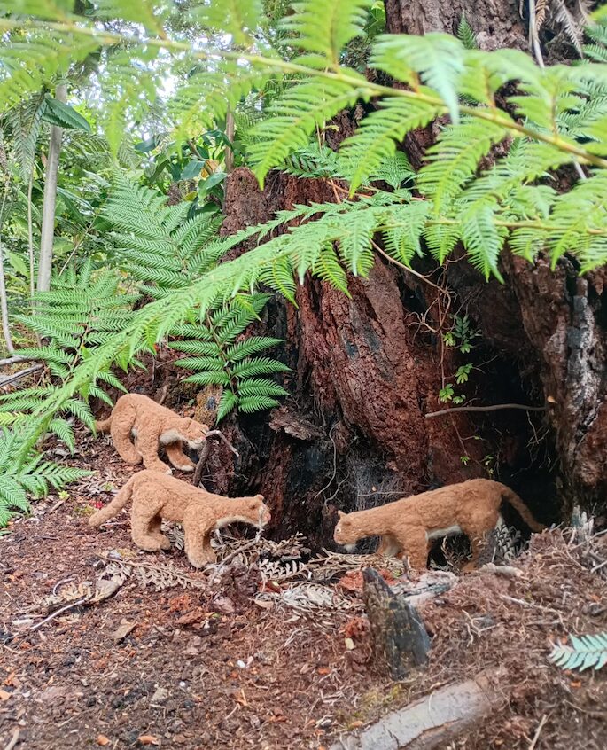 ‘Minchepan’: epew de Pucatrihue viaja por el Territorio